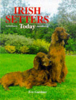 Irish Setters Today - Eve Gardner