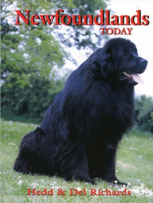 Newfoundlands Today - Hedd Richards, Delphine Richards