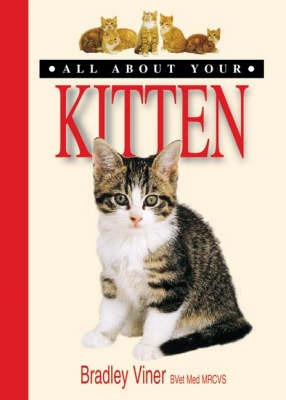 All About Your Kitten - Bradley Viner