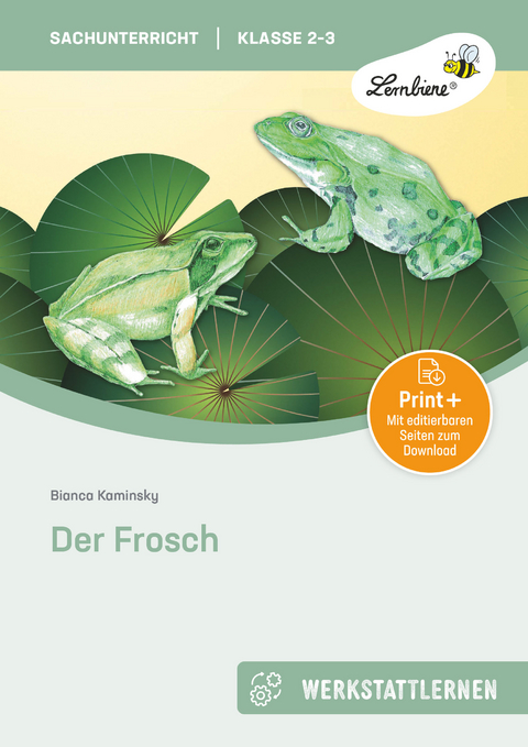 Der Frosch - Bianca Kaminsky