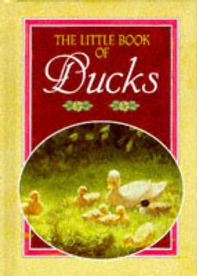 Little Book of Ducks - K. Sullivan