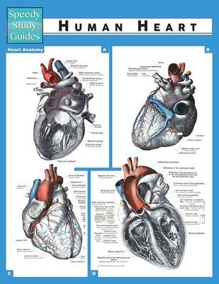 Human Heart (Speedy Study Guide) -  Speedy Publishing LLC