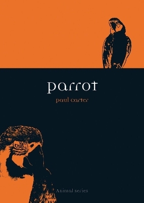 Parrot - Paul Carter