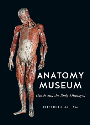 Anatomy Museum - Elizabeth Hallam