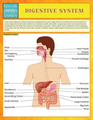 Digestive System (Speedy Study Guides) -  Speedy Publishing LLC