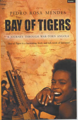 Bay of Tigers - Pedro Rosa Mendes