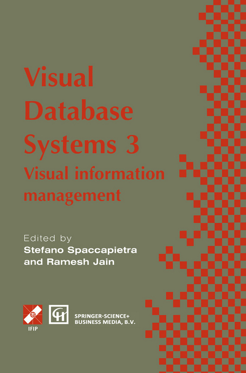 Visual Database Systems 3 - 