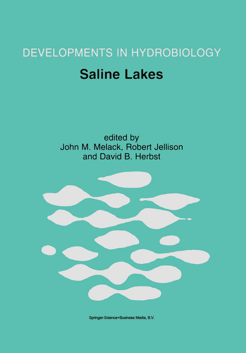 Saline Lakes - 