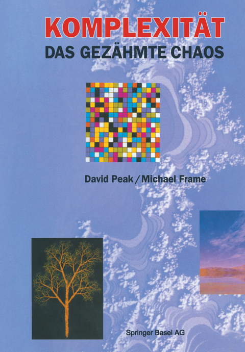 Komplexität — das gezähmte Chaos - David Peak, Michael Frame