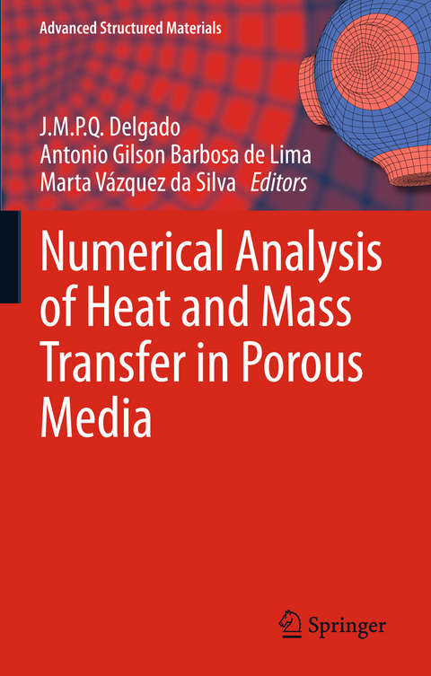 Numerical Analysis of Heat and Mass Transfer in Porous Media - 