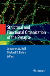 Structural and Functional Organization of the Synapse - 