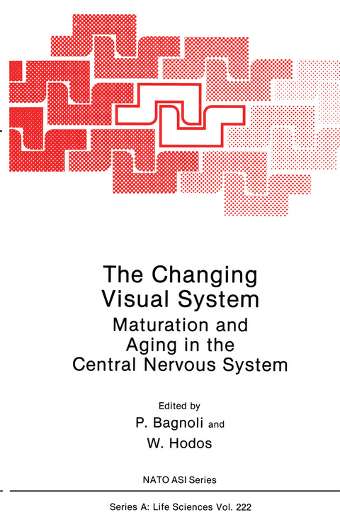 The Changing Visual System - 