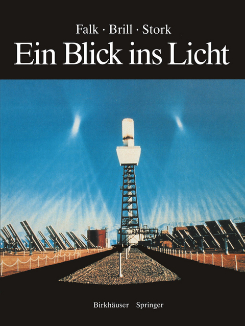 Ein Blick ins Licht - David S. Falk, Dieter R. Brill, David G. Stork