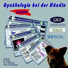 Gynäkologie bei der Hündin -  Theise,  Münnich,  Heuwieser