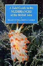 A Field Guide to the Nudibranchs of the British Isles - Bernard Picton, Christine Morrow