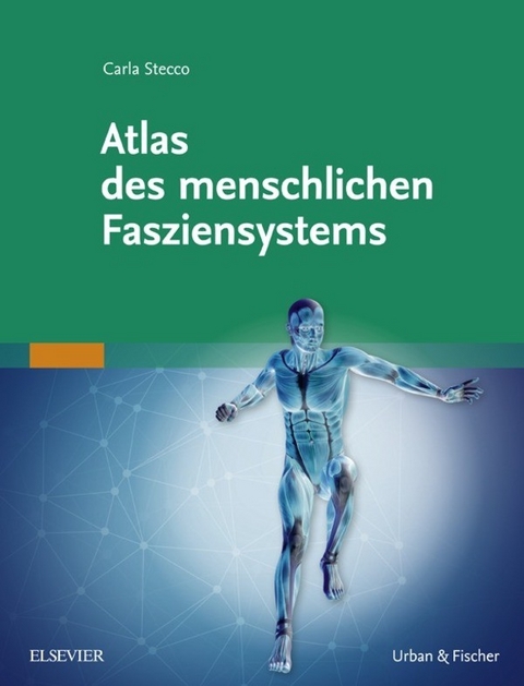 Atlas des menschlichen Fasziensystems -  Carla Stecco