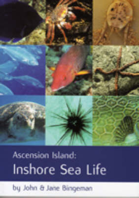 Ascension Island - John M. Bingeman, Jane Bingeman