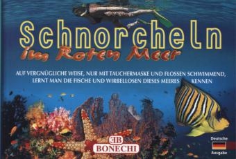 Rotes Meer, Schnorcheln - Andrea Ghisotti