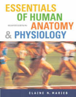 Valuepack:Essentials of Human Anatomy & Physiology with Essentials of InterActive Physiology CD-ROM/Get Ready for A&P for Nursing and Healthcare - Lori Garrett, Ailsa Clarke, Pearl Shihab, Elaine N. Marieb