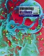 Immunology at a Glance - J. H. L. Playfair, Benjamin Chain