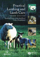 Practical Lambing and Lamb Care - Andrew Eales, John Small, Colin Macaldowie