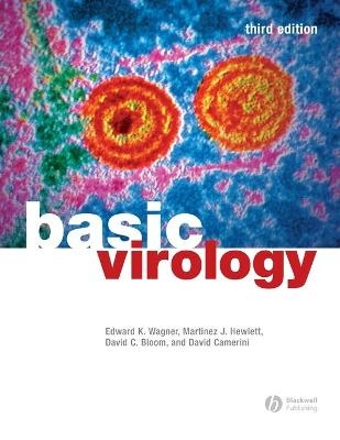 Basic Virology - Edward K. Wagner, Martinez J. Hewlett, David C. Bloom, David Camerini