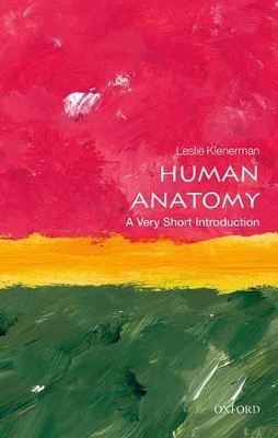 Human Anatomy - Leslie Klenerman