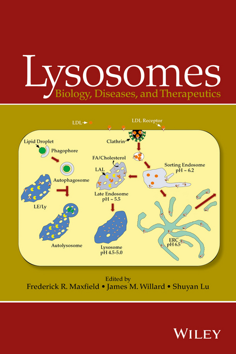 Lysosomes - 