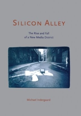 Silicon Alley - Michael Indergaard