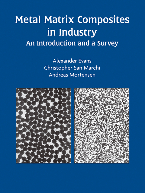 Metal Matrix Composites in Industry - Alexander Evans, Christopher San Marchi, Andreas Mortensen