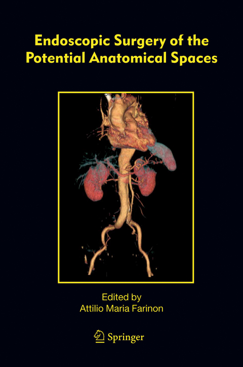 Endoscopic Surgery of the Potential Anatomical Spaces - 