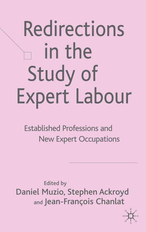 Redirections in the Study of Expert Labour - 