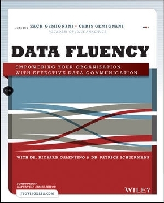 Data Fluency - Zach Gemignani, Chris Gemignani, Richard Galentino, Patrick Schuermann