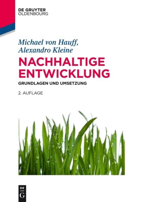 Nachhaltige Entwicklung - Michael von Hauff, Alexandro Kleine