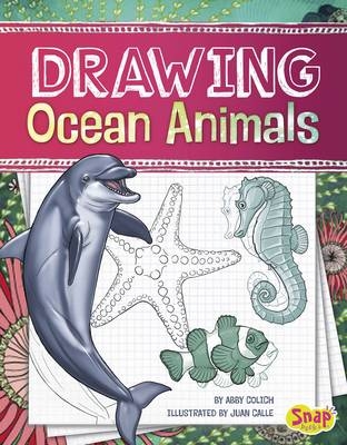 Drawing Ocean Animals -  Abby Colich