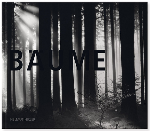 Bäume - 