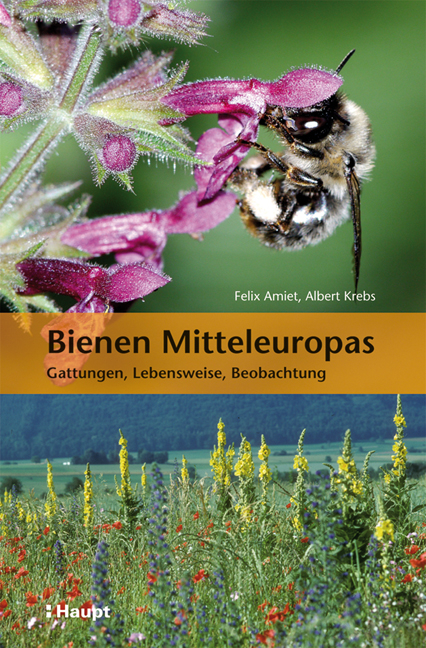 Bienen Mitteleuropas - Felix Amiet, Albert Krebs