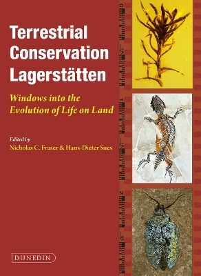 Terrestrial Conservation Lagerstatten - 