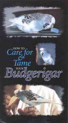 How to Care for and Tame Your Budgerigar - Gil Solomon