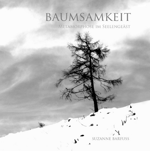 Baumsamkeit - Suzanne Barfuss