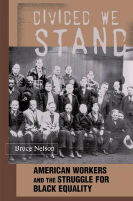 Divided We Stand - Bruce Nelson