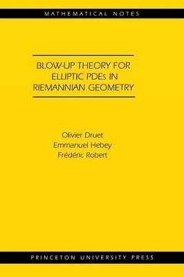 Blow-up Theory for Elliptic PDEs in Riemannian Geometry - Olivier Druet, Emmanuel Hebey, Frédéric Robert