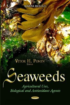 Seaweeds - 