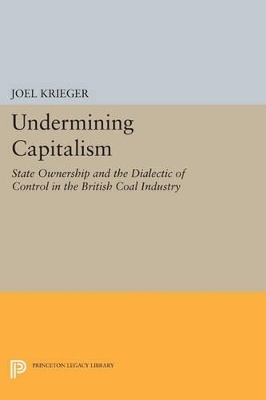 Undermining Capitalism - Joel Krieger