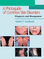 A Photo Guide of Common Skin Disorders - Herbert Goodheart