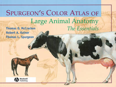 Spurgeon's Color Atlas of Large Animal Anatomy - Thomas O. McCracken, Robert A. Kainer, Thomas L. Spurgeon