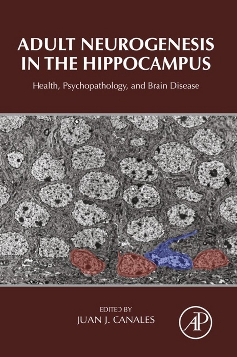 Adult Neurogenesis in the Hippocampus - 