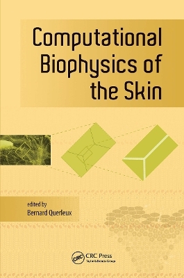 Computational Biophysics of the Skin - 