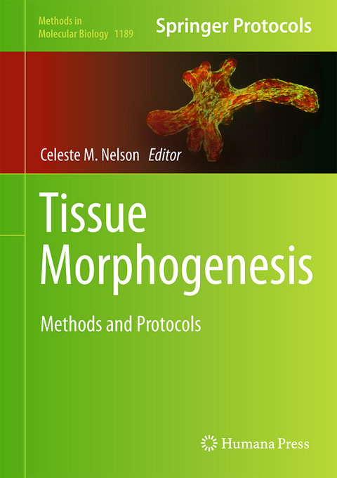 Tissue Morphogenesis - 