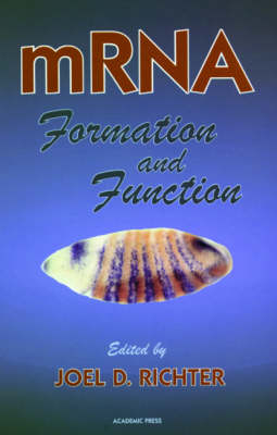 mRNA Formation and Function - 